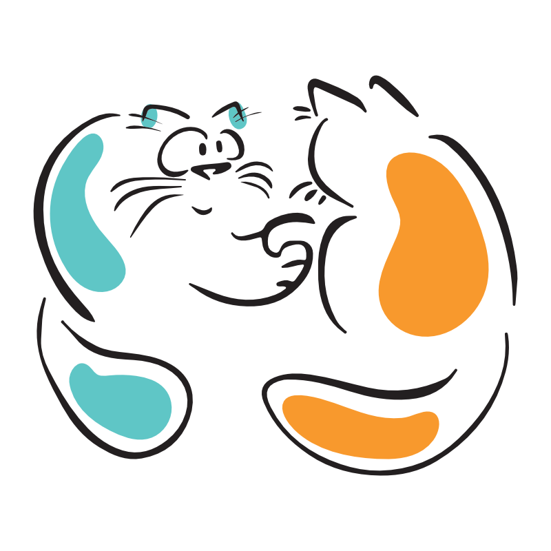 cat1